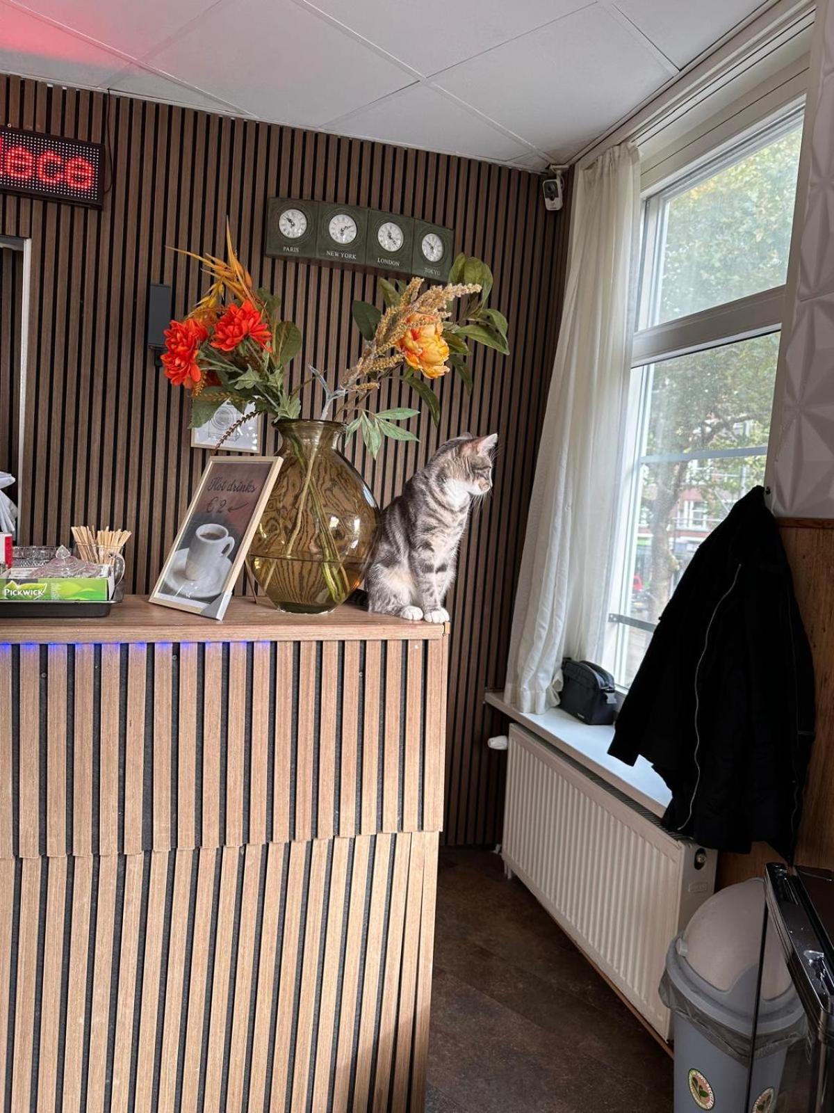 Flex-Inn Rotterdam Ngoại thất bức ảnh